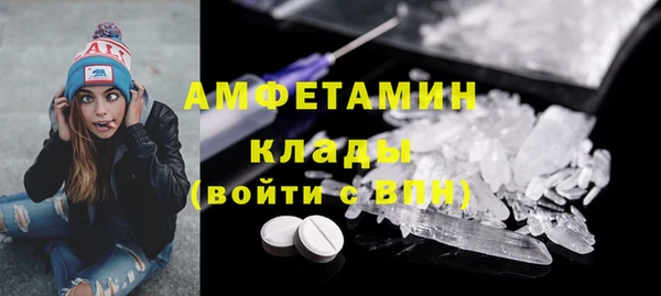 хмурый Алексин