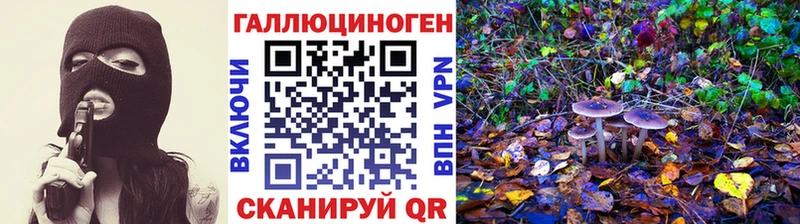 Псилоцибиновые грибы прущие грибы  блэк спрут зеркало  Москва 